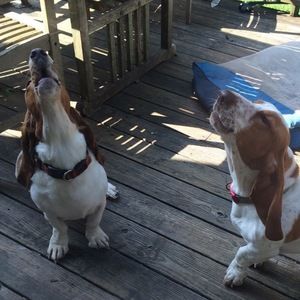 Meet your Posher, Jana